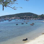 Bardot Brazil Turismo Nautico