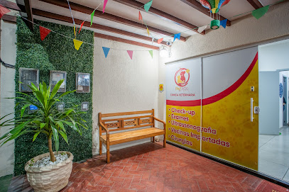 Negocio Veterinária Petmedic Búzios